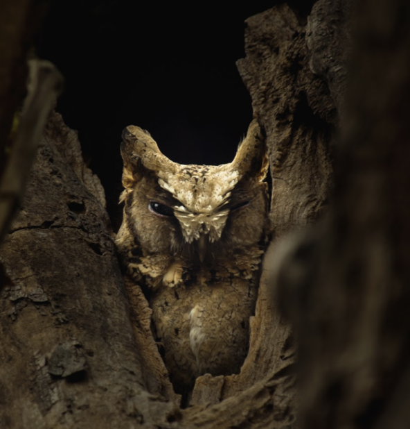 Screenshot 2025-07-23 at 5.10.43 PM